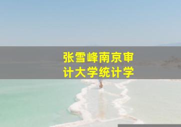 张雪峰南京审计大学统计学