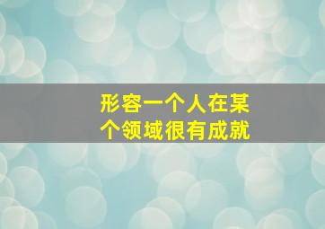 形容一个人在某个领域很有成就