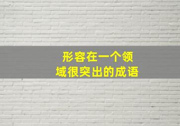 形容在一个领域很突出的成语