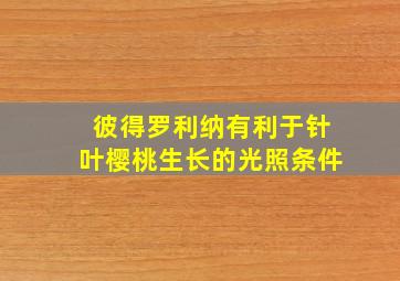 彼得罗利纳有利于针叶樱桃生长的光照条件