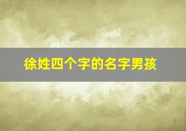 徐姓四个字的名字男孩