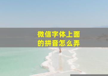 微信字体上面的拼音怎么弄