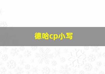 德哈cp小写