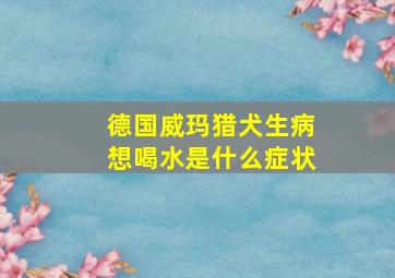 德国威玛猎犬生病想喝水是什么症状