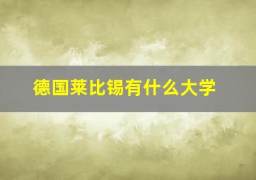 德国莱比锡有什么大学