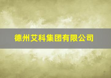 德州艾科集团有限公司