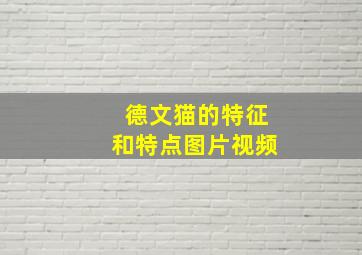 德文猫的特征和特点图片视频