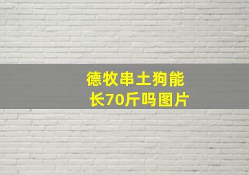 德牧串土狗能长70斤吗图片