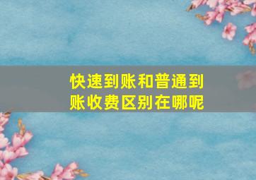 快速到账和普通到账收费区别在哪呢