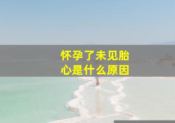 怀孕了未见胎心是什么原因