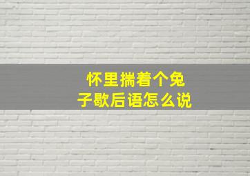 怀里揣着个兔子歇后语怎么说