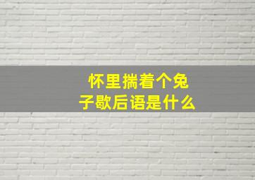 怀里揣着个兔子歇后语是什么