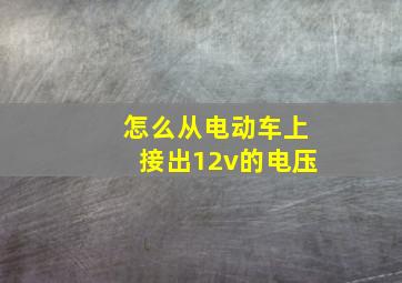 怎么从电动车上接出12v的电压