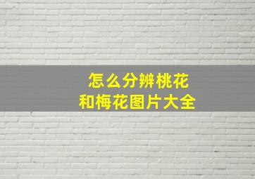 怎么分辨桃花和梅花图片大全