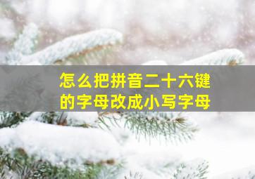 怎么把拼音二十六键的字母改成小写字母