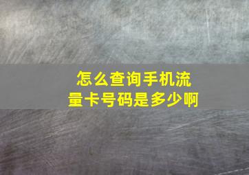 怎么查询手机流量卡号码是多少啊