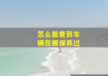 怎么能查到车辆在哪保养过