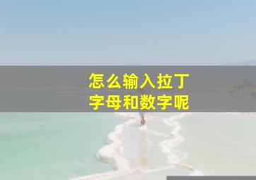 怎么输入拉丁字母和数字呢