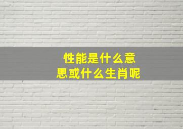 性能是什么意思或什么生肖呢