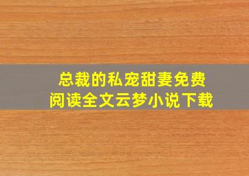 总裁的私宠甜妻免费阅读全文云梦小说下载