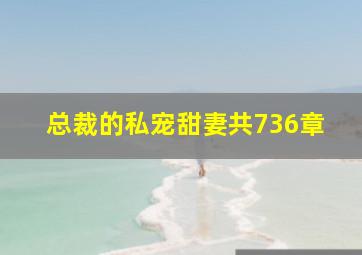 总裁的私宠甜妻共736章