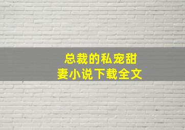 总裁的私宠甜妻小说下载全文