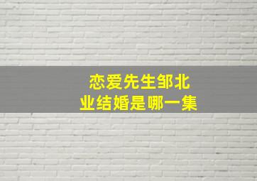 恋爱先生邹北业结婚是哪一集