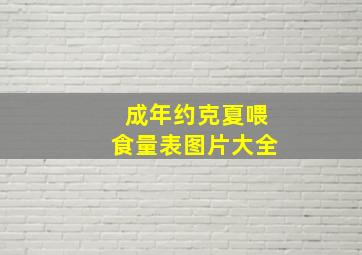 成年约克夏喂食量表图片大全