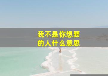 我不是你想要的人什么意思