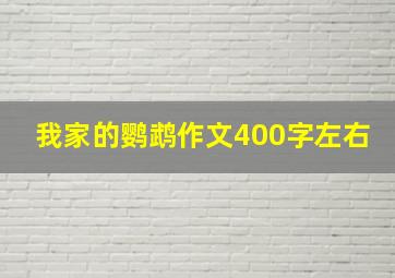 我家的鹦鹉作文400字左右