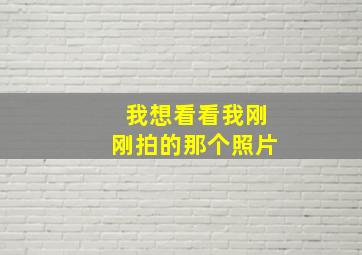 我想看看我刚刚拍的那个照片