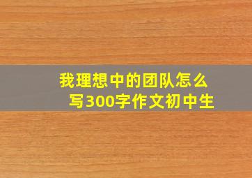 我理想中的团队怎么写300字作文初中生