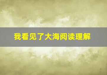 我看见了大海阅读理解