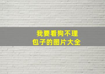 我要看狗不理包子的图片大全