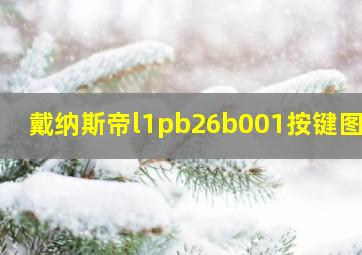 戴纳斯帝l1pb26b001按键图解