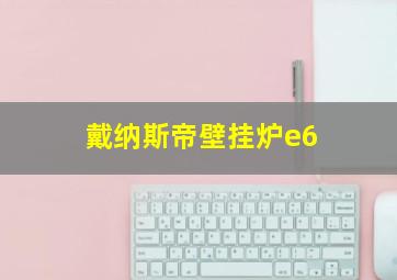 戴纳斯帝壁挂炉e6