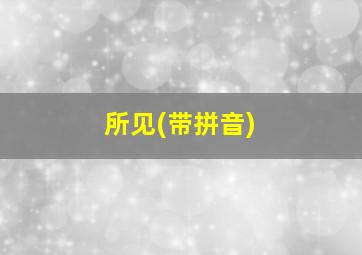 所见(带拼音)