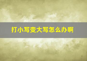 打小写变大写怎么办啊