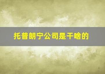 托普朗宁公司是干啥的