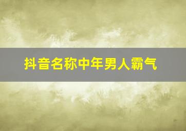 抖音名称中年男人霸气