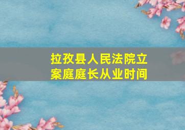 拉孜县人民法院立案庭庭长从业时间