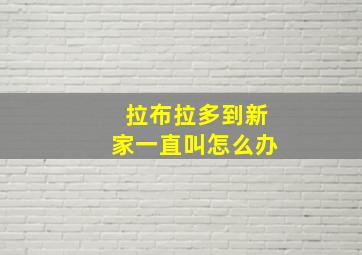 拉布拉多到新家一直叫怎么办