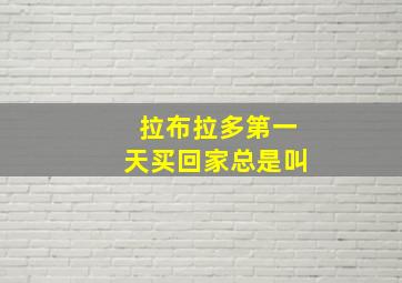 拉布拉多第一天买回家总是叫