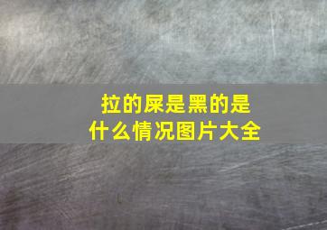 拉的屎是黑的是什么情况图片大全