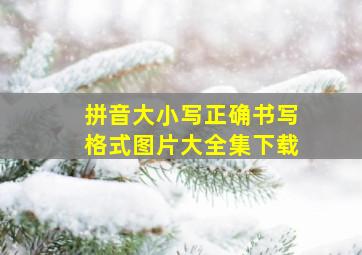 拼音大小写正确书写格式图片大全集下载