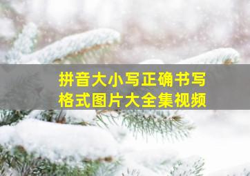 拼音大小写正确书写格式图片大全集视频