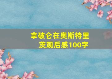 拿破仑在奥斯特里茨观后感100字