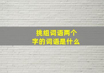 挑组词语两个字的词语是什么