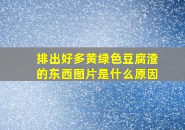 排出好多黄绿色豆腐渣的东西图片是什么原因