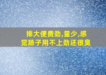 排大便费劲,量少,感觉肠子用不上劲还很臭